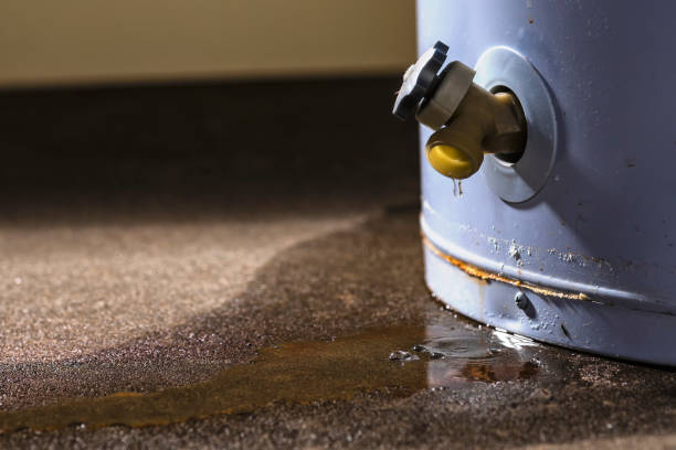 Best Mold removal after water damage  in West Allis, WI