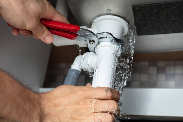 Best Flood damage cleanup  in West Allis, WI