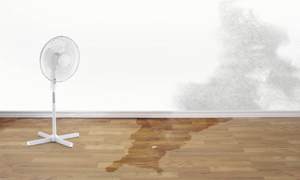 Water damage restoration insurance claims in WI