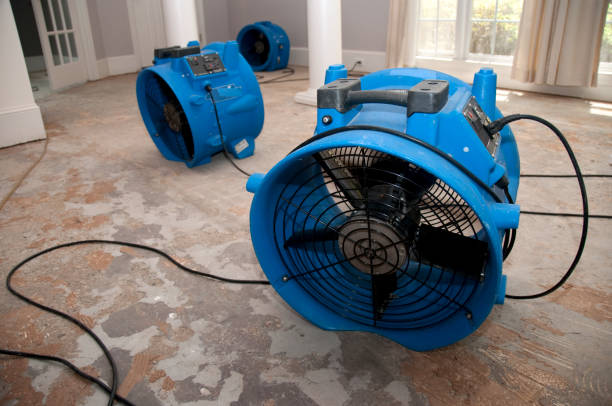 Best Local water damage restoration  in West Allis, WI