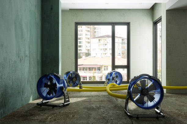 Best Emergency water extraction  in West Allis, WI
